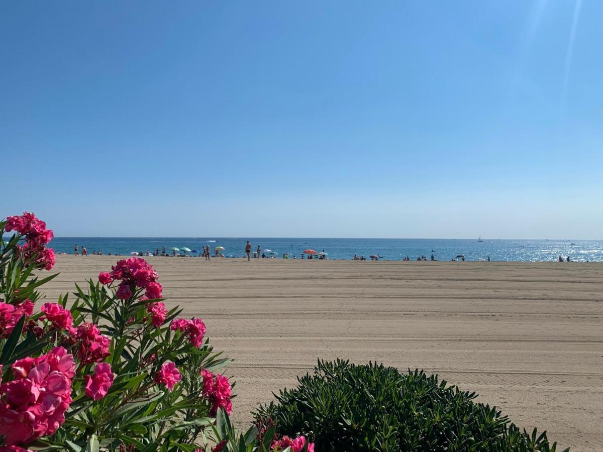 Superbe Appartement Neuf Entre Mer Et Pins Wifi Аржеле-сюр-Мер Екстер'єр фото